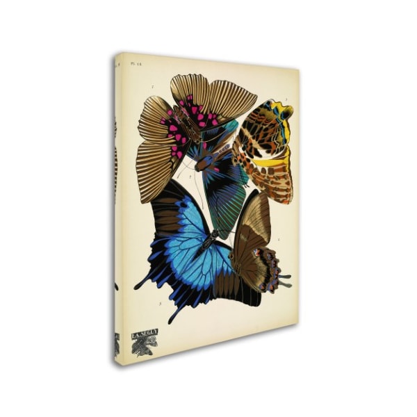 Vintage Apple Collection 'Papillons 16' Canvas Art,35x47